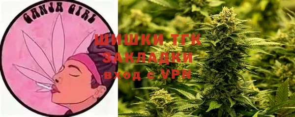 бошки Мегион