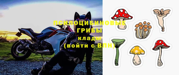 ПСИЛОЦИБИНОВЫЕ ГРИБЫ Магадан