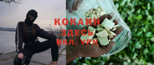 ПСИЛОЦИБИНОВЫЕ ГРИБЫ Дмитриев