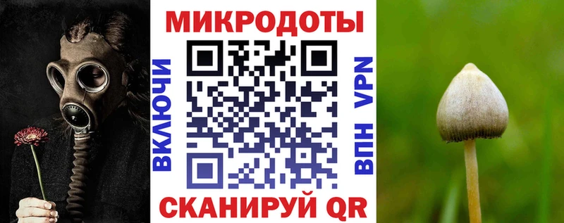 Псилоцибиновые грибы Cubensis Духовщина