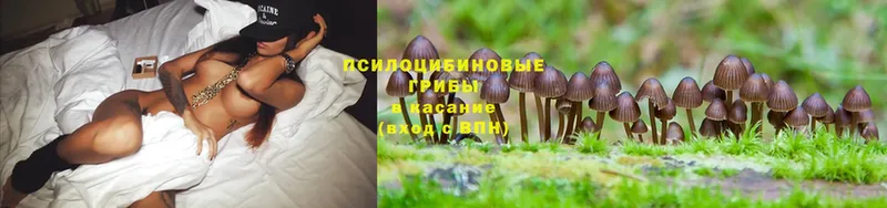 Галлюциногенные грибы GOLDEN TEACHER  мега   Духовщина  как найти закладки 